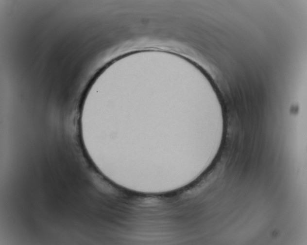 X0000102861507200809151158