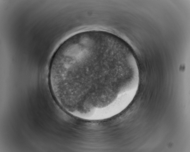 X0000102861508200809151158