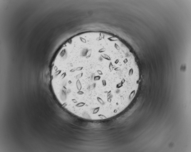 X0000102861509200809151158