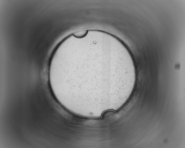 X0000102861510200809151158