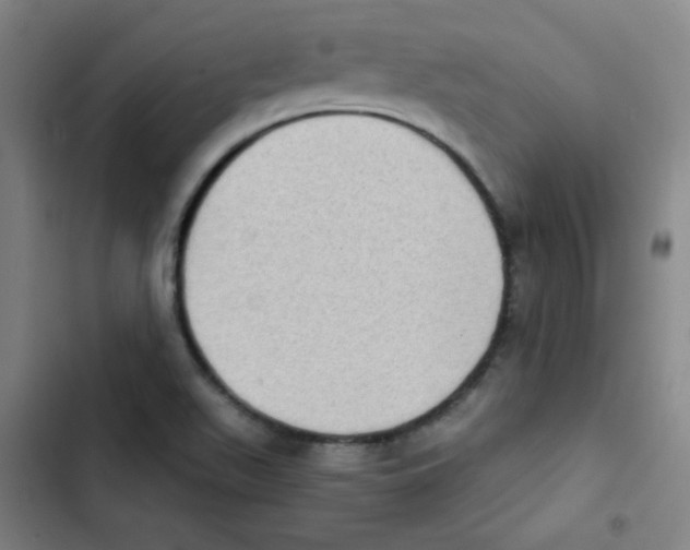 X0000102861511200809151158