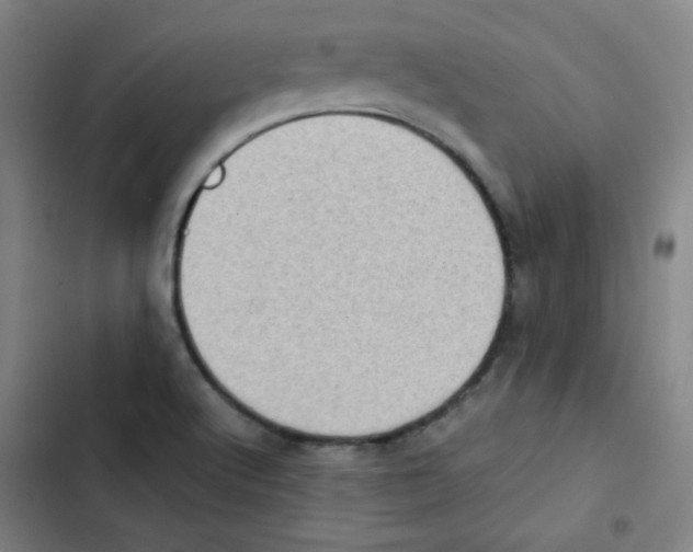 X0000102861512200809151158