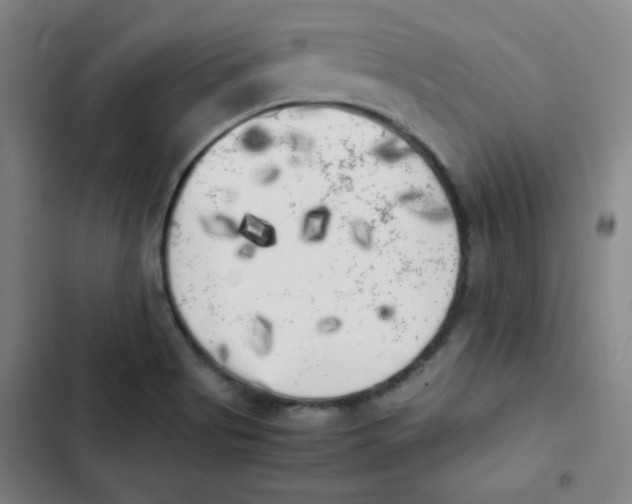 X0000102861513200809151158