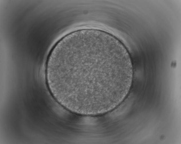 X0000102861514200809151158