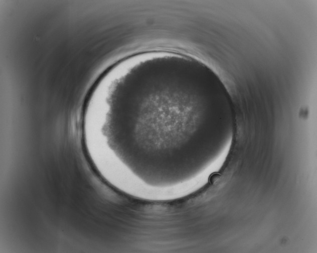 X0000102861515200809151158