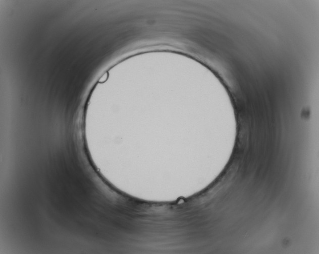 X0000102861516200809151159