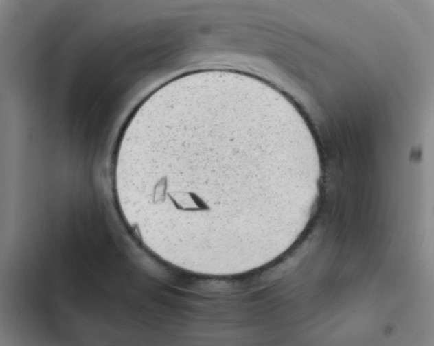 X0000102861517200809151159