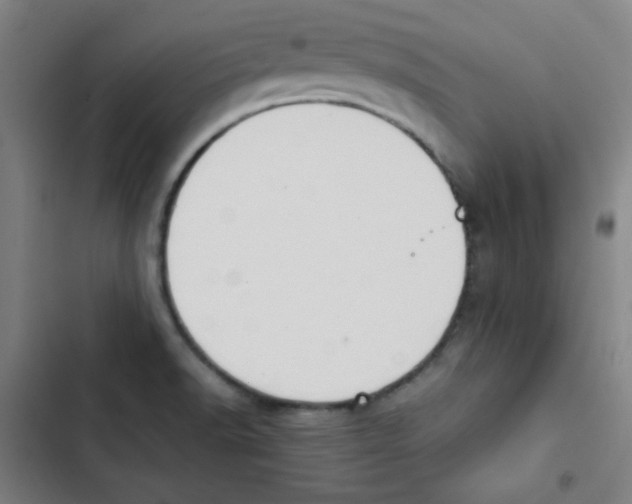 X0000102861518200809151159