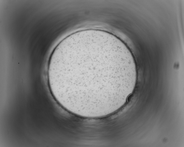 X0000102861520200809151159