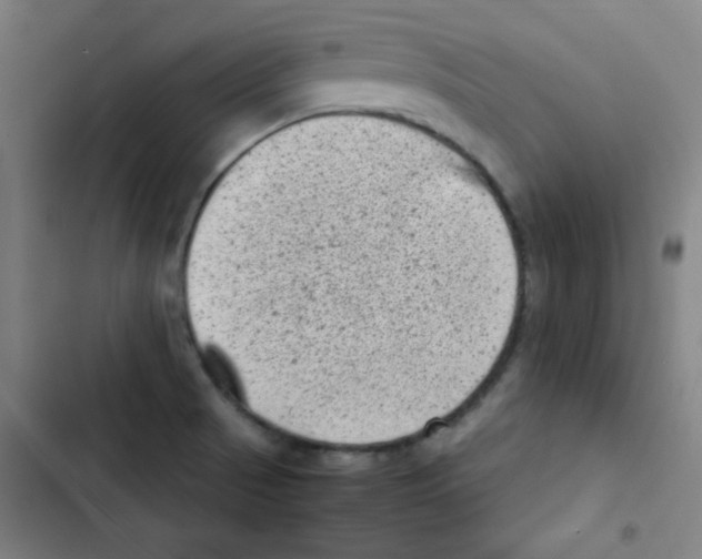 X0000102861521200809151159