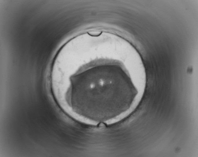 X0000102861522200809151159