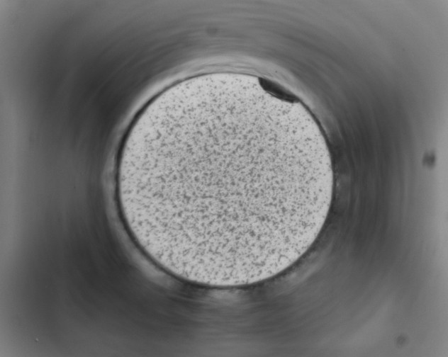 X0000102861523200809151159