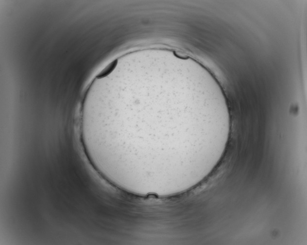 X0000102861524200809151159