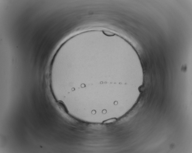 X0000102861526200809151159