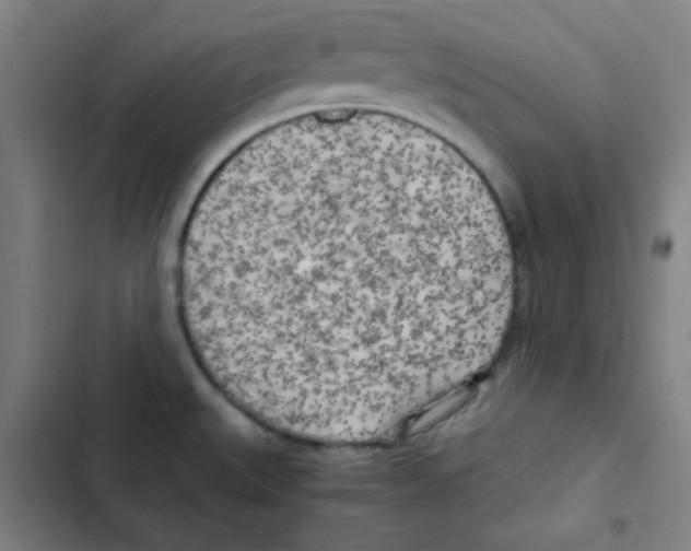 X0000102861527200809151159