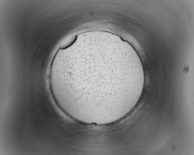 X0000102861528200809151159