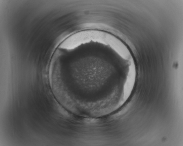 X0000102861529200809151159