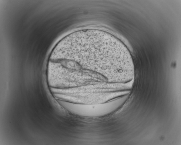 X0000102861530200809151159