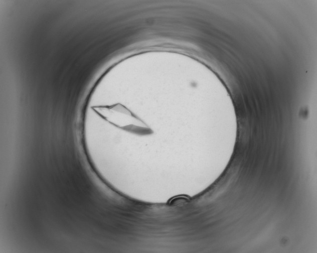 X0000102861531200809151159