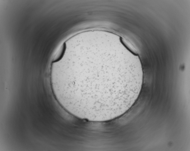 X0000102861532200809151159