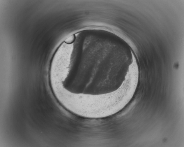 X0000102861533200809151159