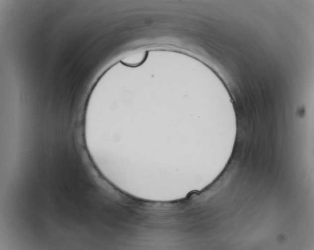 X0000102861534200809151159