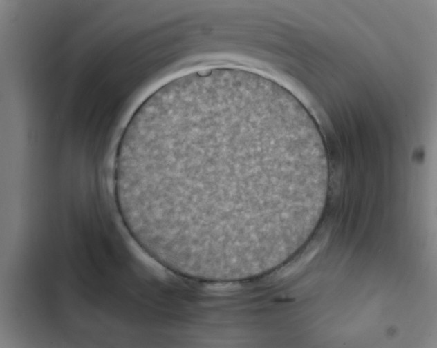 X0000102861535200809151159