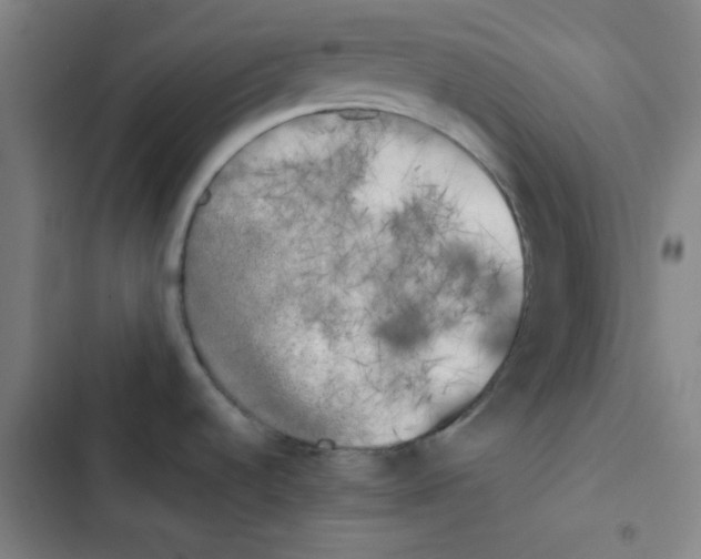 X0000102861536200809151159