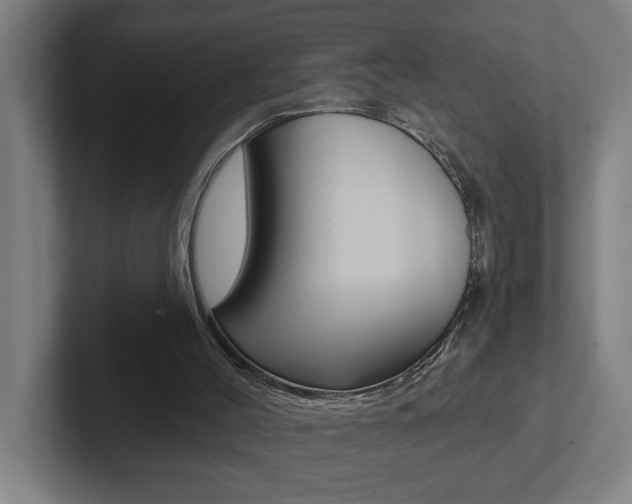 X0000102870004200808181055