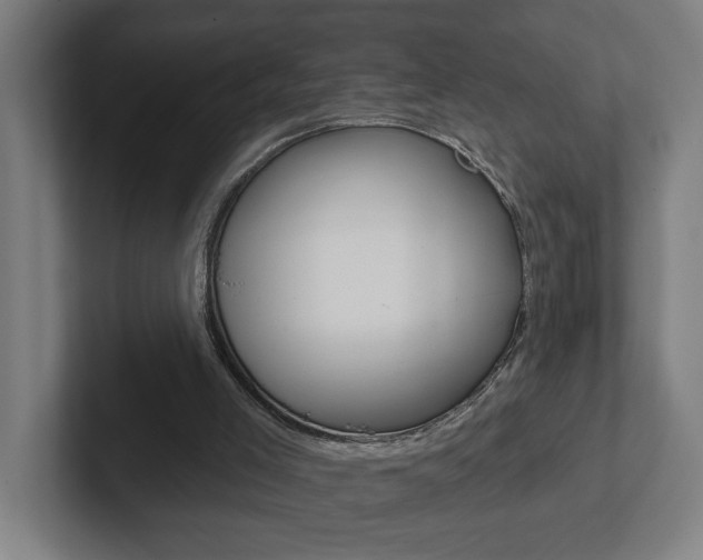 X0000102870005200808181055