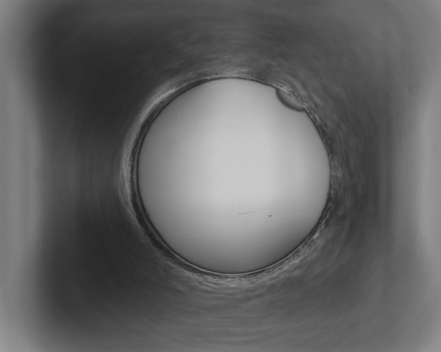 X0000102870006200808181055