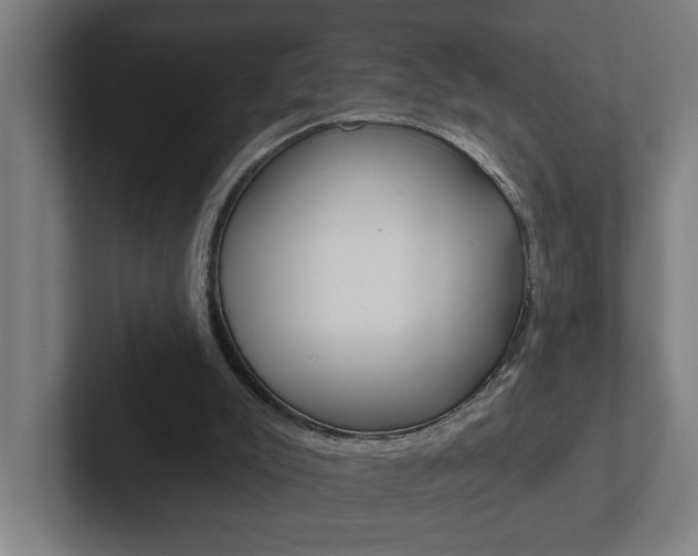X0000102870007200808181055