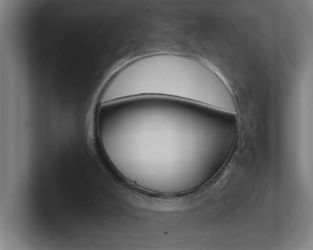 X0000102870008200808181055