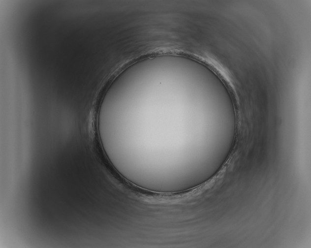 X0000102870009200808181055