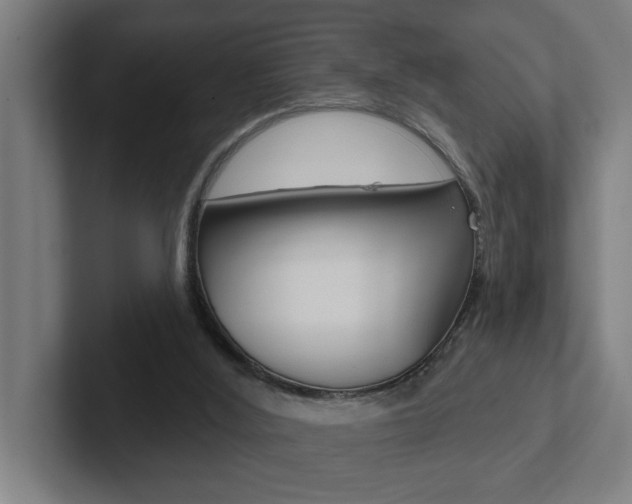 X0000102870012200808181055
