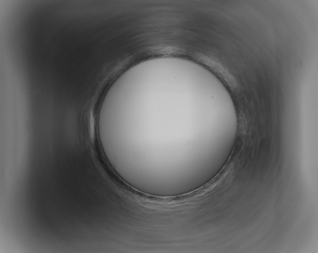 X0000102870014200808181055