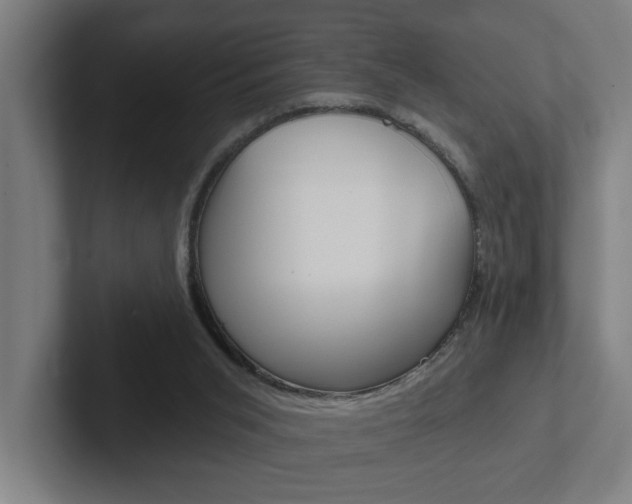 X0000102870015200808181055