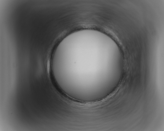 X0000102870019200808181055