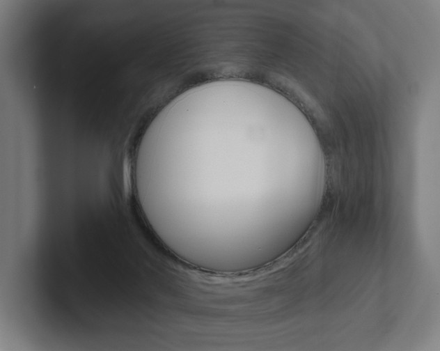X0000102870022200808181055