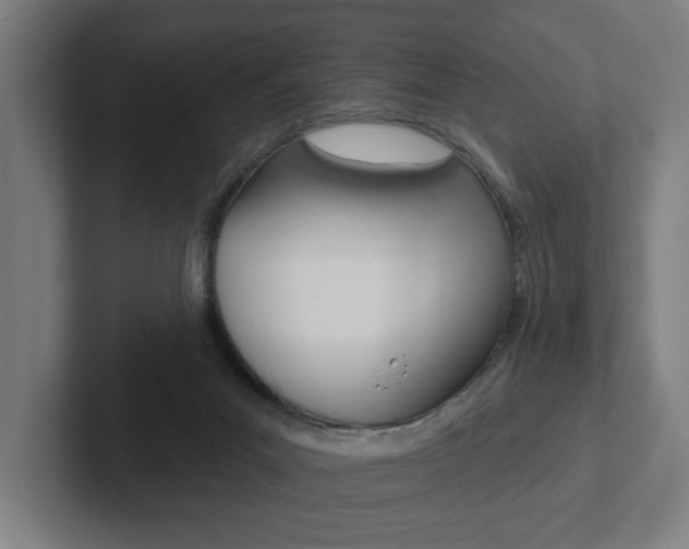 X0000102870023200808181055