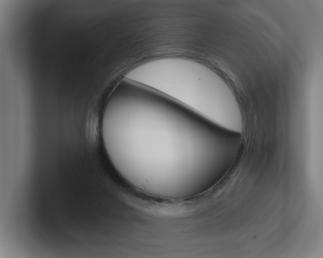 X0000102870024200808181054