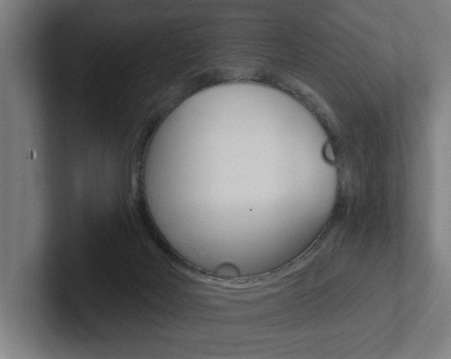 X0000102870026200808181054