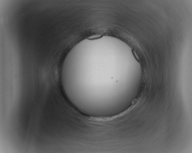 X0000102870037200808181054