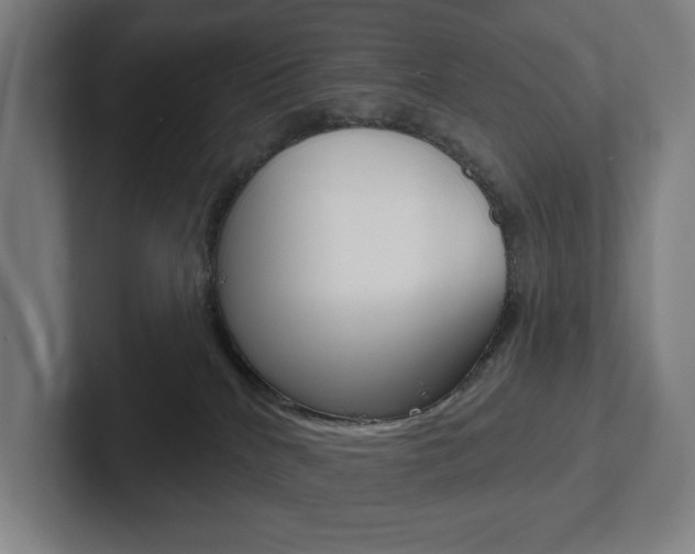 X0000102870040200808181054