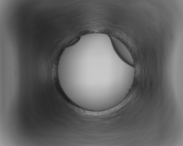 X0000102870043200808181054
