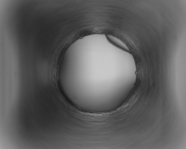 X0000102870044200808181054