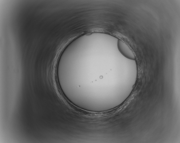 X0000102870049200808181054