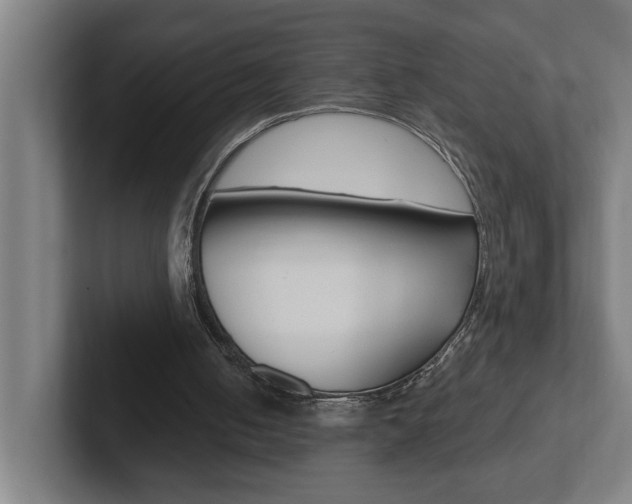 X0000102870050200808181054