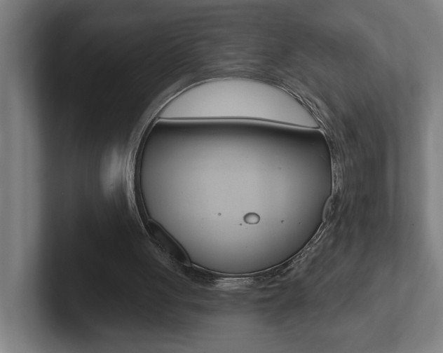X0000102870051200808181054