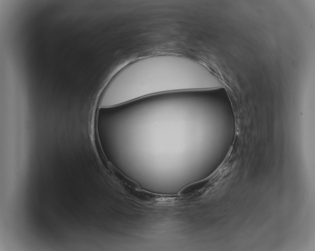 X0000102870052200808181054